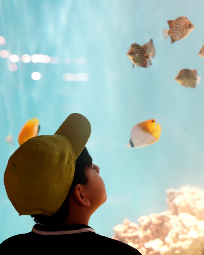 A reptile looking right at YOU!