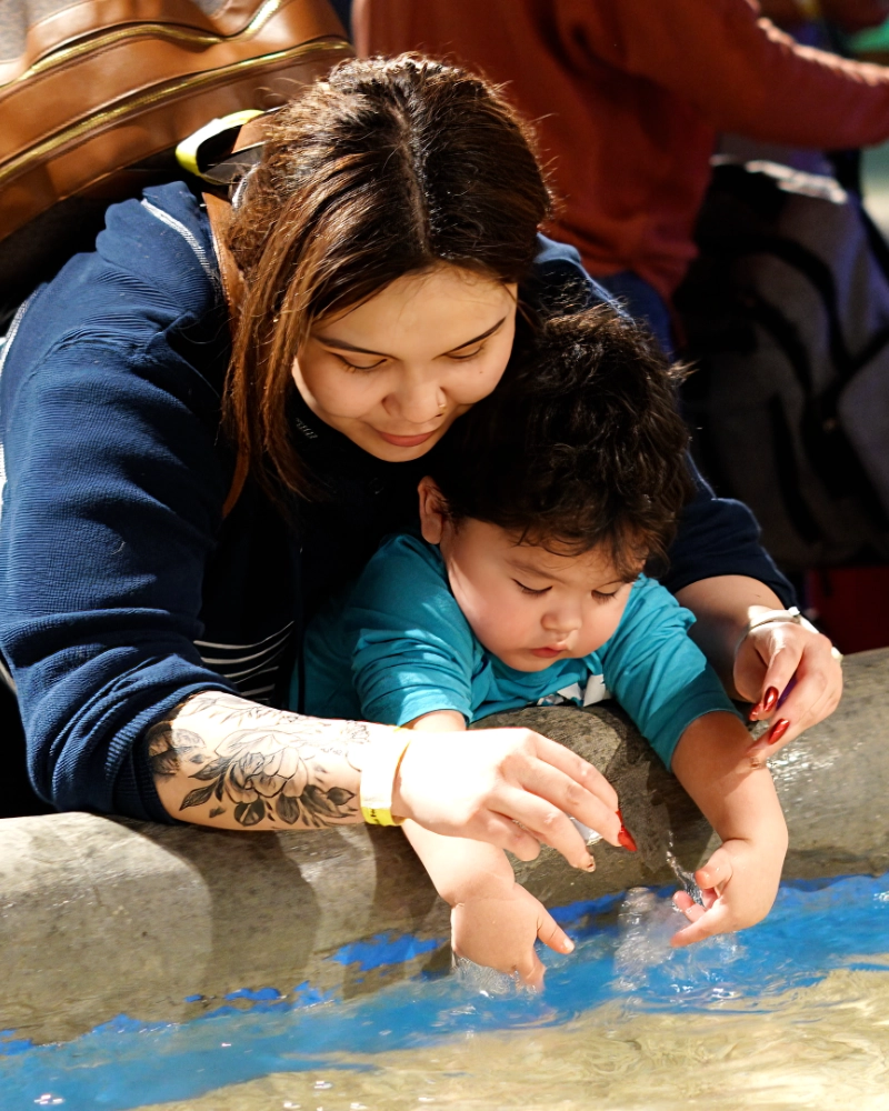 A reptile looking right at YOU!